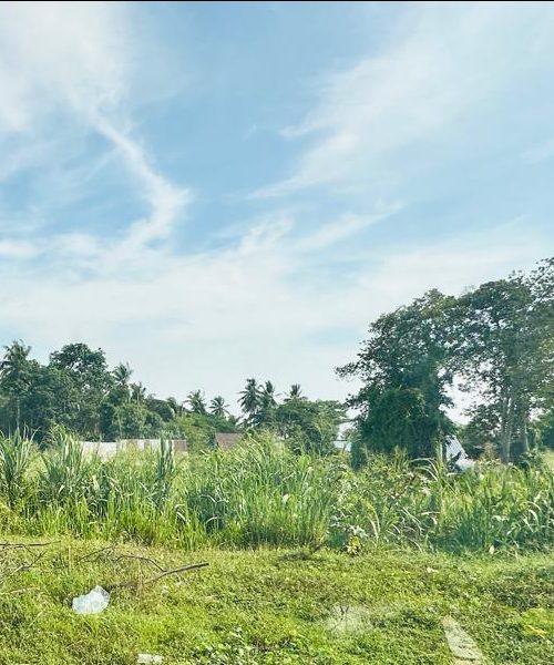 AGRICULTURE